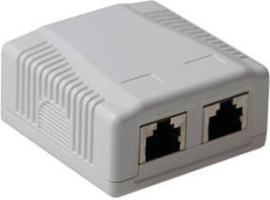 Intronics Doppelte Externe Netzwerksteckdose RJ45 Typ Cat6 in Weiß Farbe FA7004