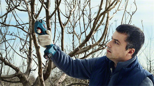 Bosch Ψαλίδι Κλαδέματος Μπαταρίας 12V Solo