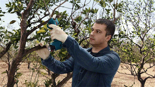 Bosch PRO PRUNER Ψαλίδι Κλαδέματος Μπαταρίας 12V 2x3Ah με Μέγιστη Διάμετρο Κοπής 25mm