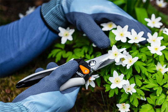 Neo Tools Traubenschere Länge 20cm mit Maximalem Schnittdurchmesser 6mm
