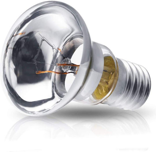 Special Type Lamp Lava Lamp Reflector Lamp 40W for Socket E14