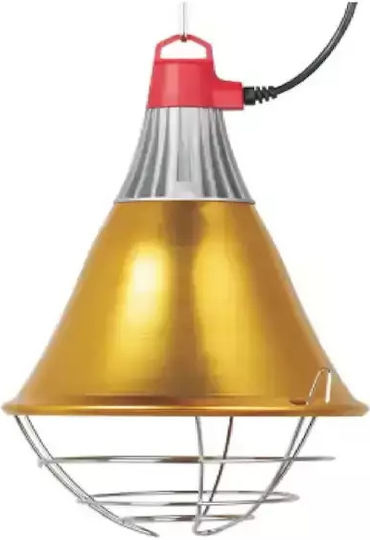 Thermometer Bell Economy Switch 21cm Br-02g