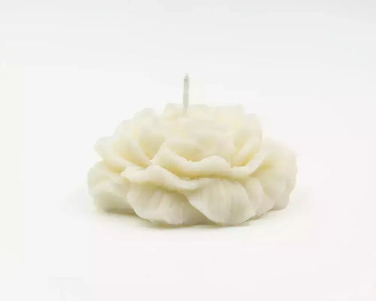 Leather Creations XK Lumânare Aromatică Din Soia Cu Miros De Ciocolată Caldă