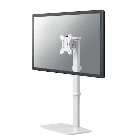 Newstar Tabletop Suport Monitor până la 30" Albă (FPMA-D890WHITE)