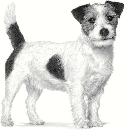 Royal Canin Gastrointestinal Low Fat Small Dog 1.5kg Hrană Uscată pentru Câini de Rase Mici cu Orez și Păsări de curte
