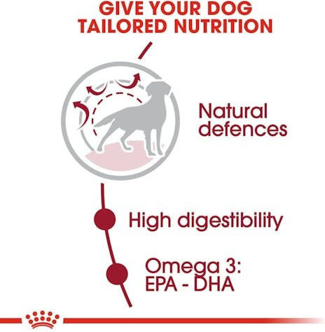 Royal Canin Medium Adult 15kg Dry Food for Adult Medium Breed Dogs with Poultry and Rice