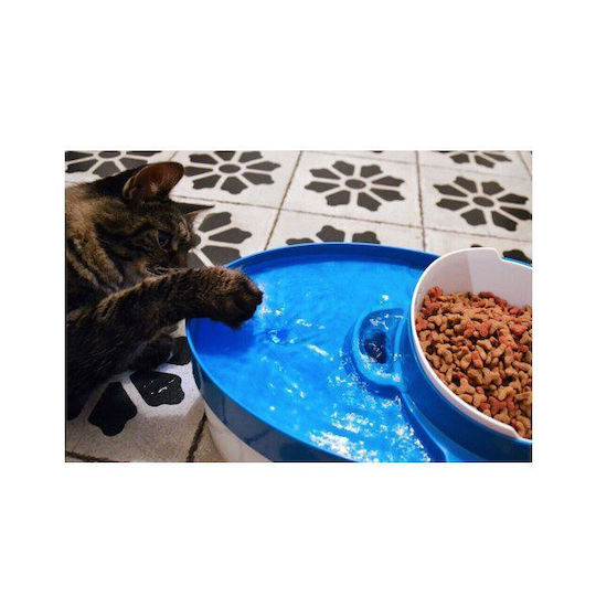 Bimar Automatisch Wasserspender / Brunnen für Hund & Katze auf Basis von 800ml in Blau Farbe