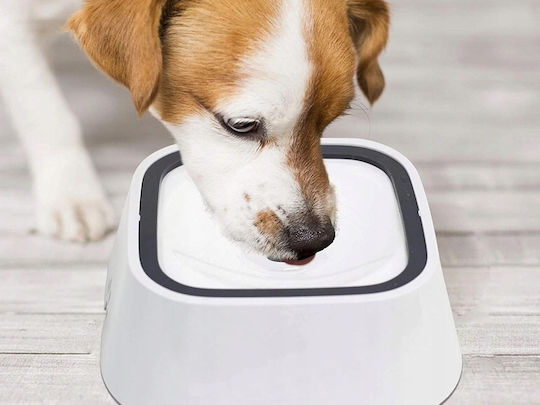 Purlov Schalen aus ABS-Kunststoff Futter & Wasser Langsame Fütterung für Hund & Katze 1.5lt in Weiß Farbe 2Stück