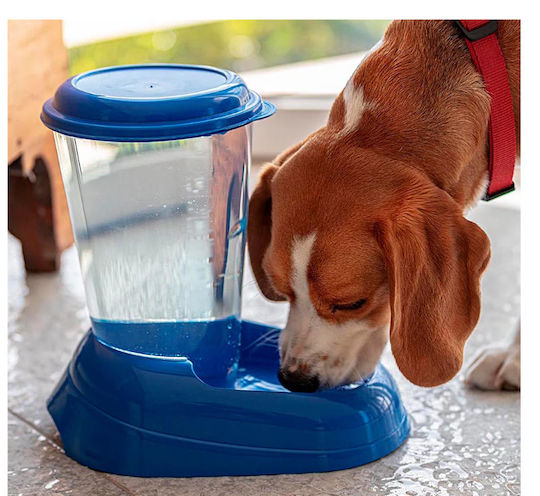 Ferplast Automatic Plastic Water Dispenser for Dogs & Cats 3 L 28.8 cm