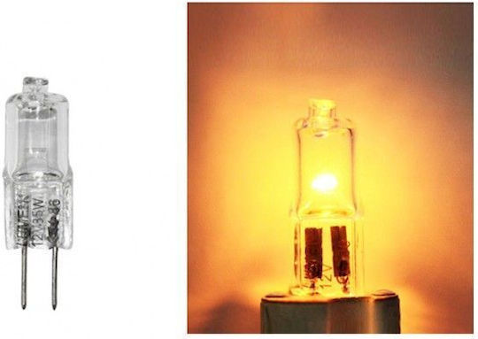Adeleq Halogen Lamp for Socket G4 with Power 35W 12V