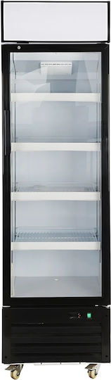 Dynamic Ψυγείο Μπύρας 420lt Μονόπορτο Υ215xΠ62xΒ70cm