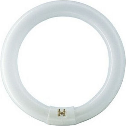 Philips Fluorescent Lamp for Socket G10Q with Shape T9 32W