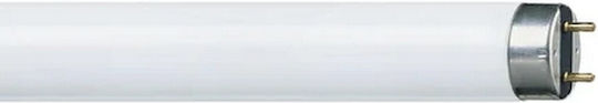 Philips Lampă Fluorescentă pentru Dulie G13 cu Formă T8 58W