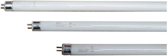 EDM Grupo Fluorescent Lamp for Socket G13 with Shape T8 15W