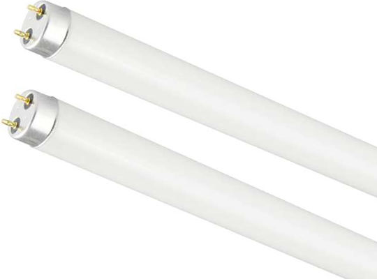Fluorescent Lamps for Socket G13 with Shape T8 36W 25pcs