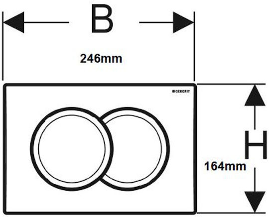Geberit Flush Plate Dual Flush