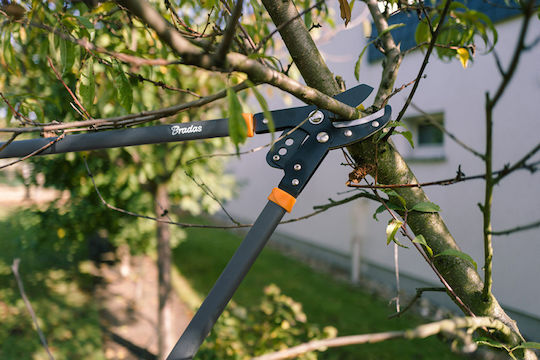 Bradas KT-V1221 Ψαλίδι Κλάδου 81cm για Κλαδιά έως 50mm