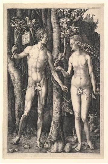 Tabloul Adam și Eva de Albrecht Dürer 50x80