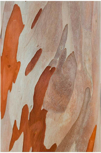 Абстрактна картина с шарка на кора на дърво 80x120