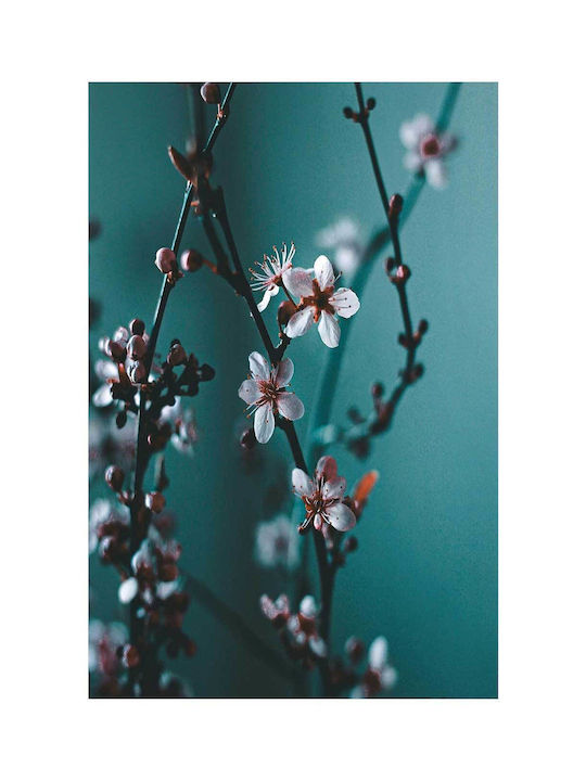 Painting Blossoming Cherry Flowers 80x120