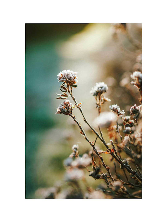 Πίνακας Frosty Flowers Παγωμένα Λουλούδια 80x120