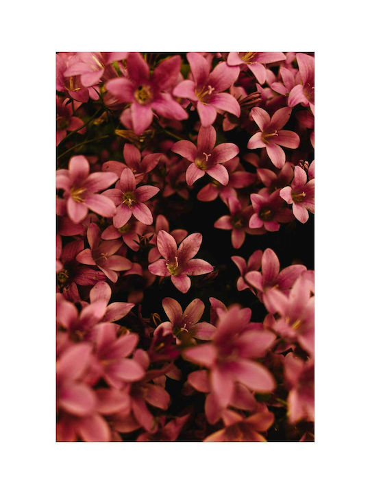 Πίνακας Pink Flowers Ροζ Λουλούδια 80x120