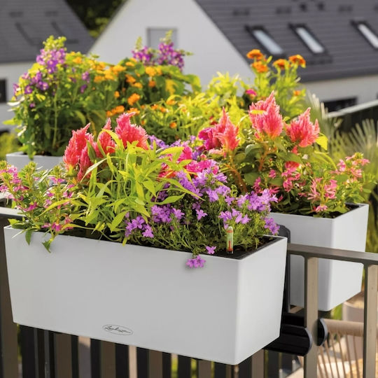 Lechuza Balconera Кутия за саксии Пластмаса Бял Lechuza Balconera Кутия за саксии Пластмаса Бял