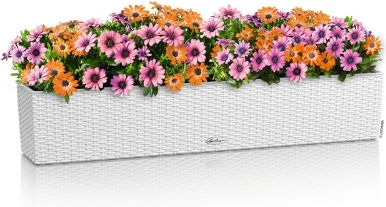 Lechuza Balconera Cottage Self-watering Planter Box Plastic White 100x19x19cm.