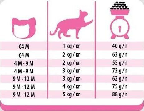 PreVital Dry Food for Young Cats with Chicken / Poultry 0.95kg