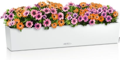 Lechuza Self-watering Planter Box Plastic White 100x19x19cm.