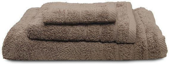Sunshine Pânză de față Dory 50x100cm. Mocha Greutate 600gr/m²