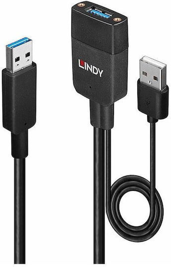 Lindy Converter USB-A male to USB-A male 1pcs 43357