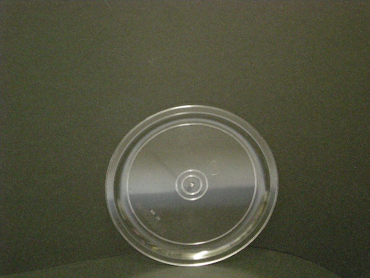 Tray Foodservice Disposable 1pcs 243953-247759