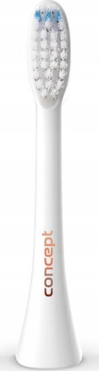 Concept Perfect Smile Soft Clean ZK0052 Ersatzköpfe für 4 Stück