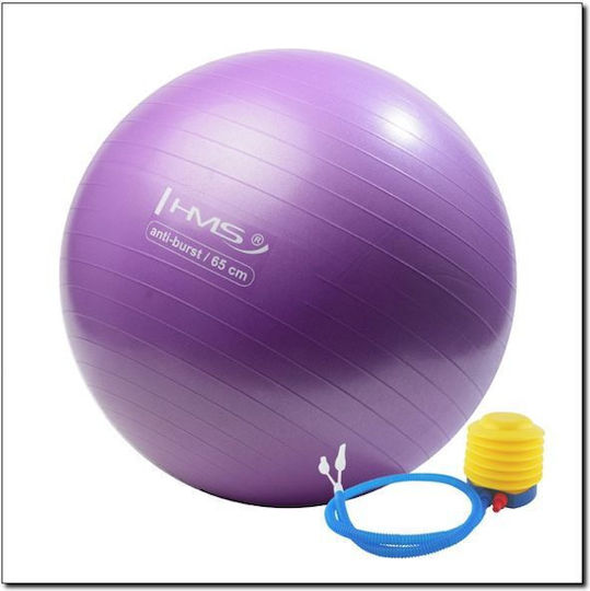 Abisal Μπάλα Pilates 65cm σε Μωβ Χρώμα