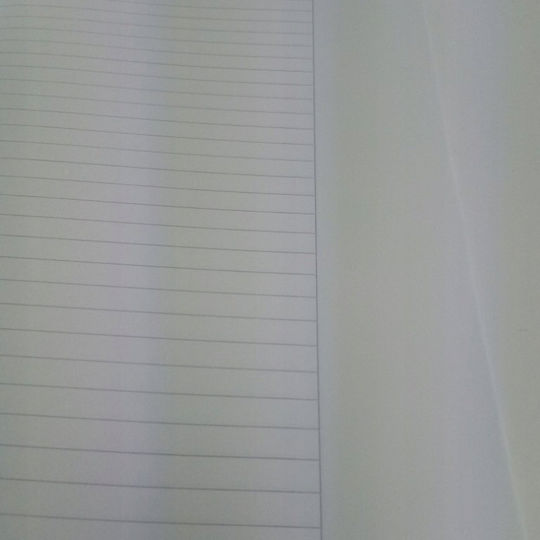 Herlitz Carnet Cu dungi Albastru