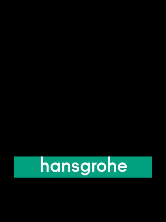 Hansgrohe Amestecare Robinet Chiuvetă