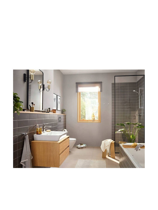 Hansgrohe Amestecare Robinet Chiuvetă
