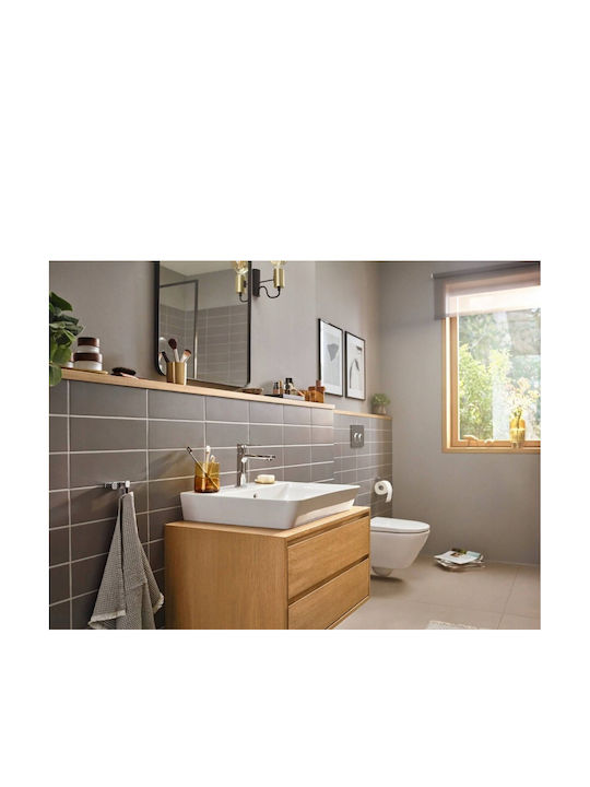 Hansgrohe Amestecare Robinet Chiuvetă