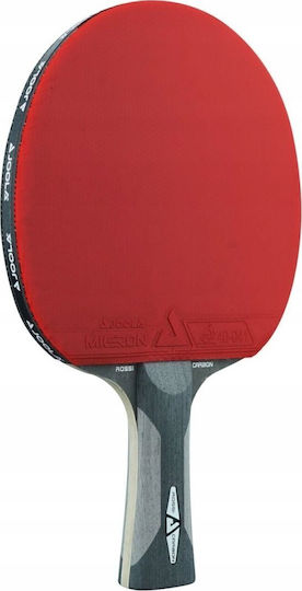 Σετ Ping Pong Joola Rosskopf Carbon 54208