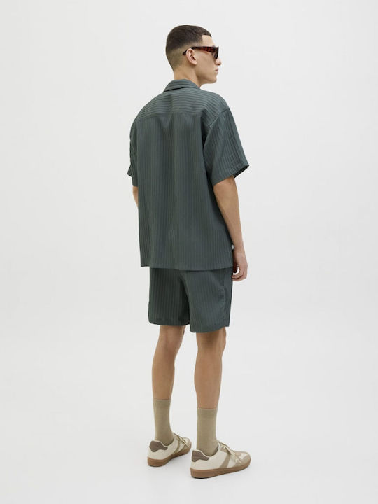 Short-sleeved Shirt in Wide Line Agave Green