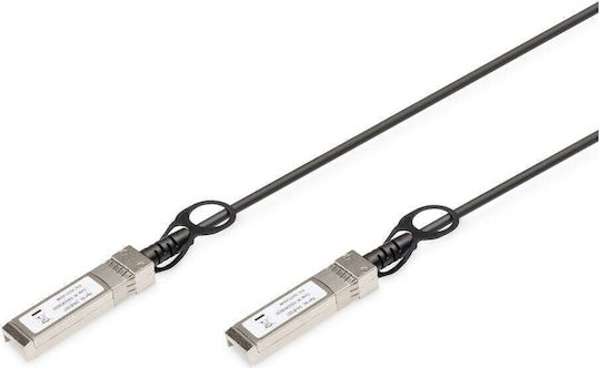 Digitus Fiber Optic Cable SFP+ 0.5m Black