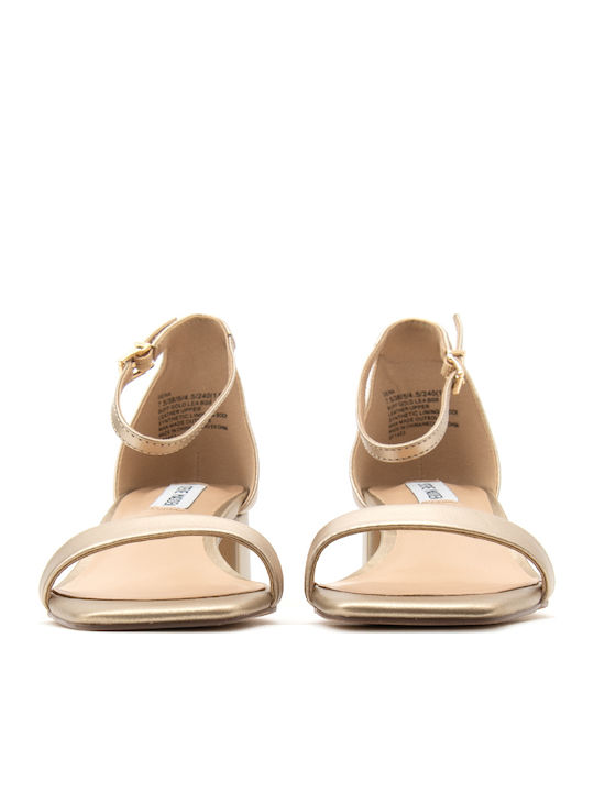 Steve Madden Gena Δερμάτινα Πέδιλα Χρυσά
