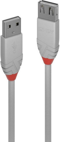 Lindy 0.2m USB 2.0 Cable A-Male to A-Female Gray (36710)