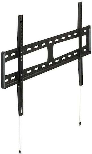 Hagor BL Fixed 800 Βάση Τηλεόρασης Τοίχου έως 65" και 60kg