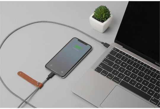 Native Union Belt Плетена USB-C към Lightning кабел Сив 1.2м Zebra (846654029772)