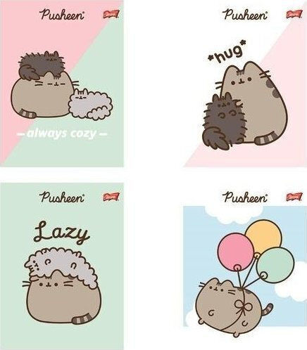 Majewski A5 Notebook 32 Sheets Double Line Two-color Laminated Pusheen P15 Mix Price 1 Piece