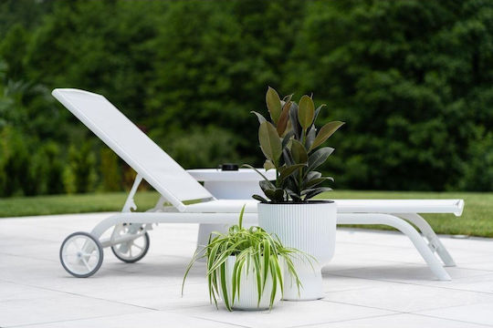 Prosperplast Саксия Зелен със стойка 24x24εκ.