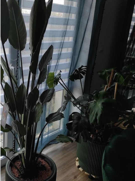 Prosperplast Саксия Зелен 24x24εκ.