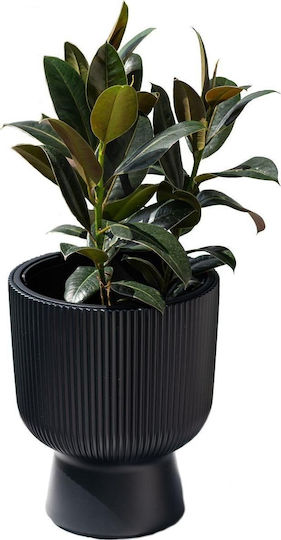 Prosperplast Саксия Зелен със стойка 24x24εκ.